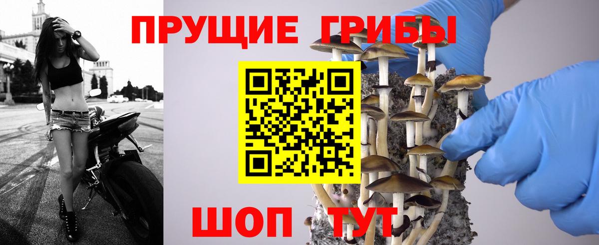 Галлюциногенные грибы Cubensis  Вход с VPN  Новокуйбышевск 
